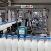 В Нижегородской области построят свинокомплекс и молочный завод