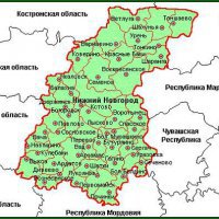 В Нижегородской области малые предприятия могут освободить от плановых проверок