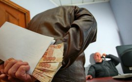 Русецкий: Ущерб от коррупции за 2,5 года превысил 130 млрд рублей