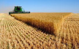 В Нижегородской области уже собрано более 1 млн тонн зерновых