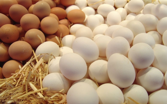 В Нижегородской области производство яиц выросло на 4,5%