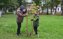 В Нижнем Новгороде прошла экологическая акция «Красивый город»