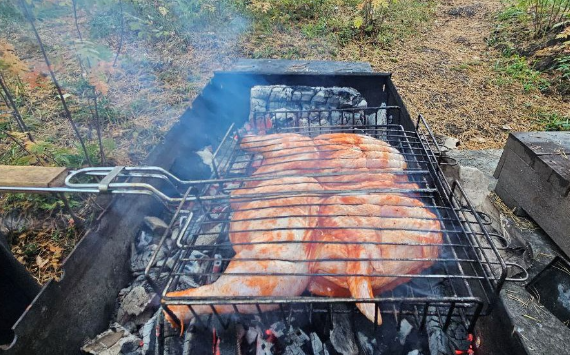 Нижегородцы активно бронируют беседки с мангалами