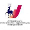 Агентство по развитию кластерной политики и предпринимательства Нижегородской области