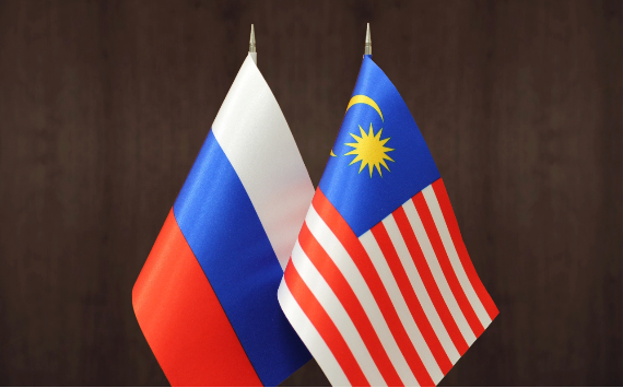 Россия и Малайзия расширяют сотрудничество в области энергетики