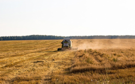Фермеры Нижегородской области планируют собрать более 1000 тонн зерна
