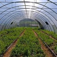В Минсельхозе Нижегородской области представили новую программу поддержки сельхозпроизводителей