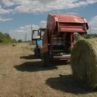 Шанцев: На поддержку нижегородских фермеров выделят 170 миллионов рублей