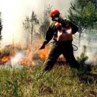 Запрет на посещение ряда лесов сохранится в Нижегородской области до 1 июля