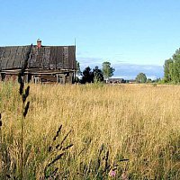 В Нижегородской области ввели в оборот около 30 тысяч га заброшенных земель