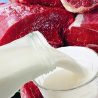 В Нижегородской области появится комплекс по производству мясо-молочной продукции