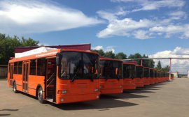 Власти Нижнего Новгорода потратят 1,2 млрд рублей на покупку 100 автобусов