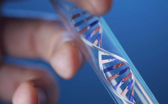 Качество жизни с помощью ДНК теста