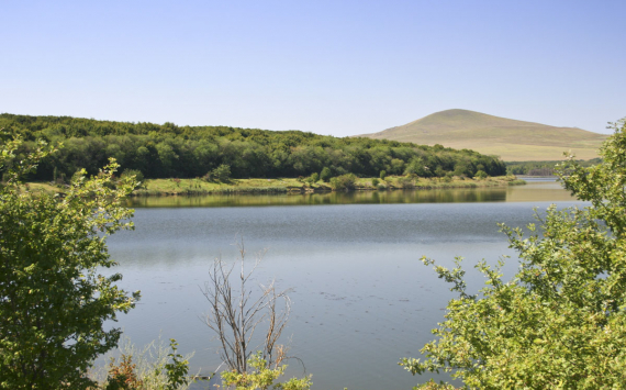 На Бору после благоустройства на 15 млн рублей высохло Мухинское озеро