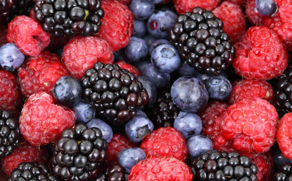 В Нижегородской области увеличат уровень выращивания ягод и плодов