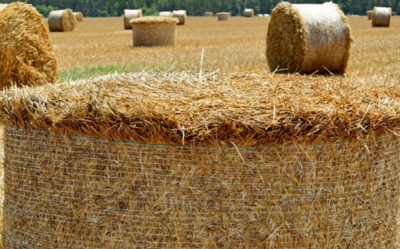 Нижегородские фермеры получат гранты до 6 млн рублей