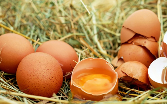 В Нижегородской области подешевели яйца и куры