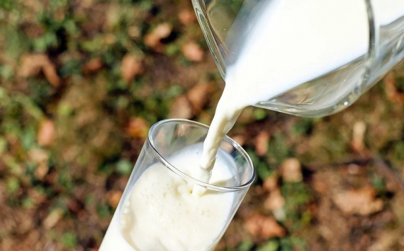 В Нижегородской области на 4 % выросло производство молока