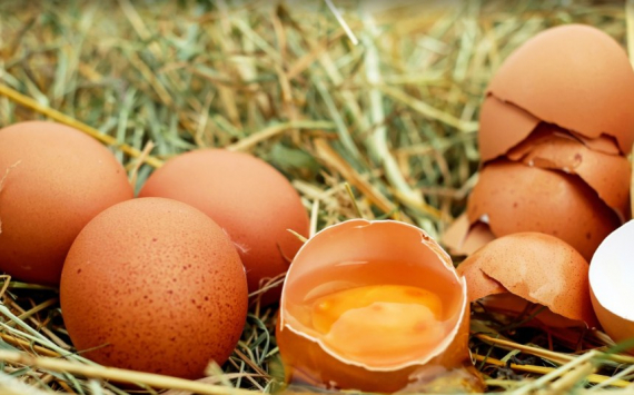 В Нижегородской области яйца подешевели на 18%