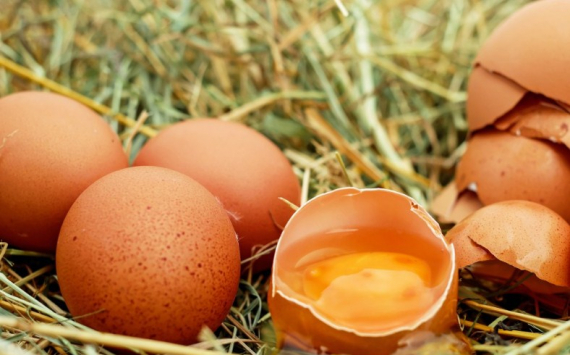 В Нижегородской области куриные яйца подешевели на 4%