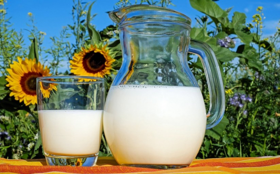 В Нижегородской области рентабельность молочного животноводства снизилась на 11%