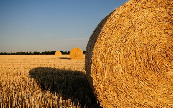 В Нижегородской области фермеры получат 38 млн рублей на развитие агротуризма