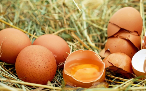 В Нижегородской области удастся избежать дефицита яиц