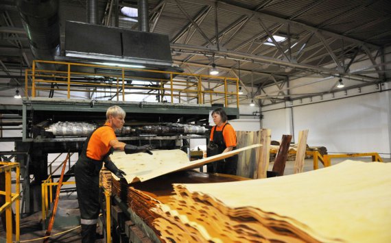 Польская компания построит в Нижегородской области завод по производству фанеры