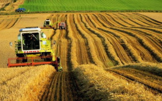 Аграриям Нижегородской области могут увеличить финансирование