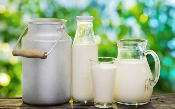 В Нижегородской области на 2,8% выросло производство молока‍