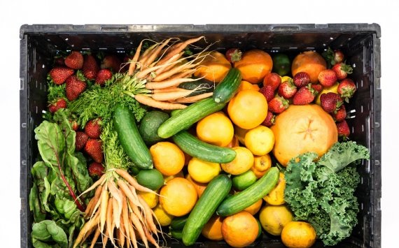 В Нижегородской области комплекс по переработке овощей и фруктов построят за 322 млн рублей